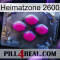 Home Zone 2600 02